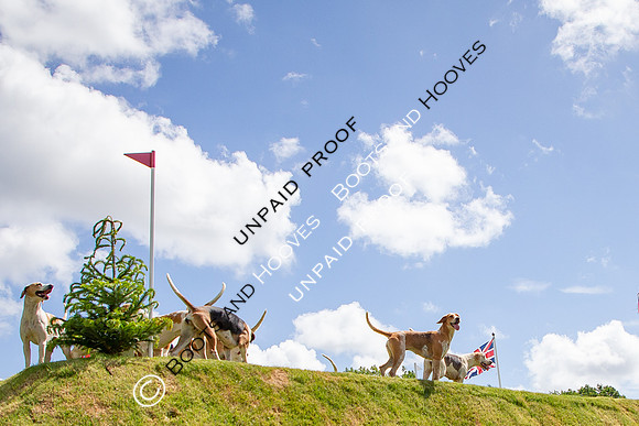 The Al Shira'aa Hickstead Derby Meeting