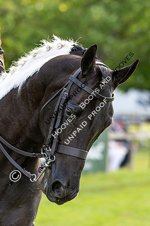 The Al Shira'aa Hickstead Derby Meeting