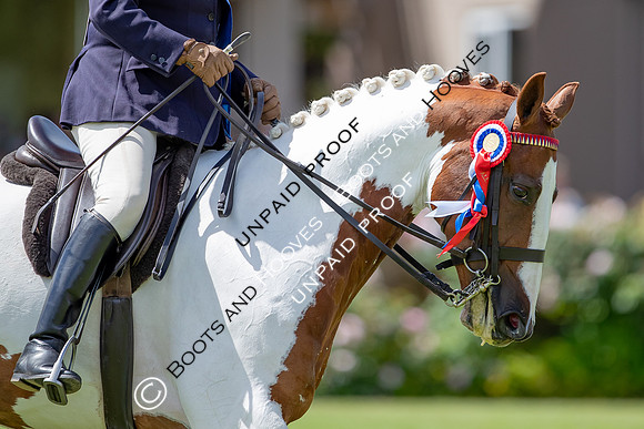 The Al Shira'aa Hickstead Derby Meeting