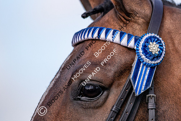 The Al Shira'aa Hickstead Derby Meeting