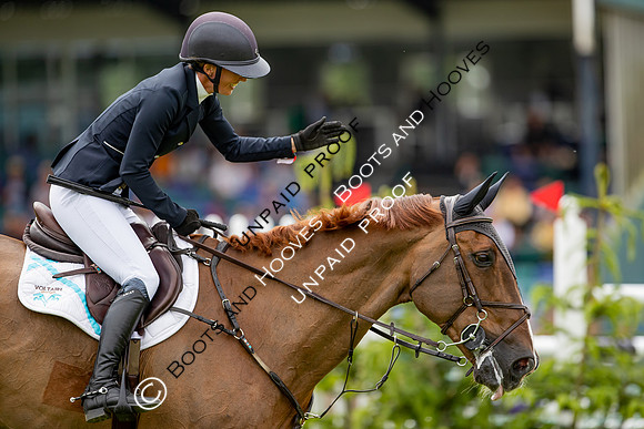 The Al Shira'aa Hickstead Derby Meeting