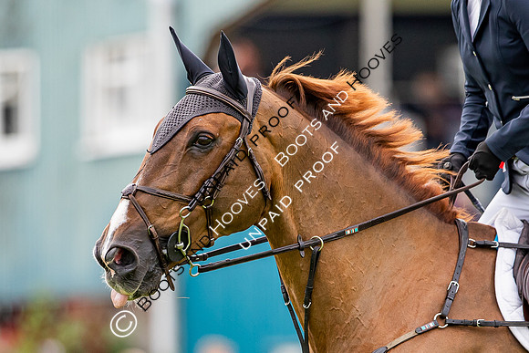 The Al Shira'aa Hickstead Derby Meeting
