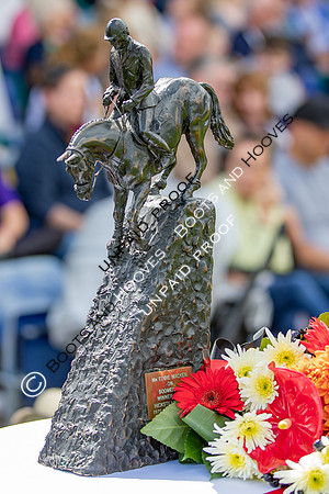 The Al Shira'aa Hickstead Derby Meeting