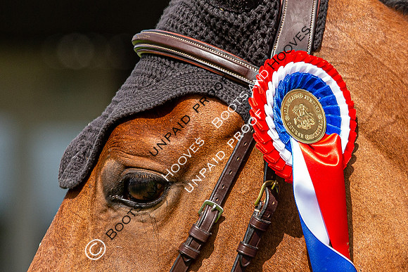 The Al Shira'aa Hickstead Derby Meeting