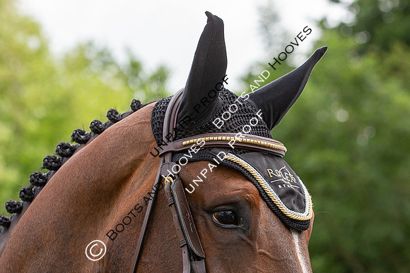 The Al Shira'aa Hickstead Derby Meeting