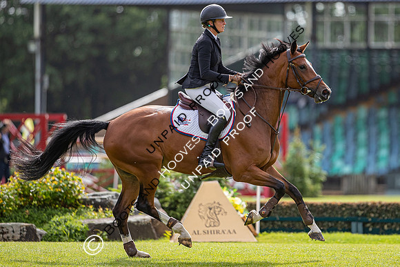The Al Shira'aa Hickstead Derby Meeting