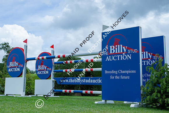 The Al Shira'aa Hickstead Derby Meeting