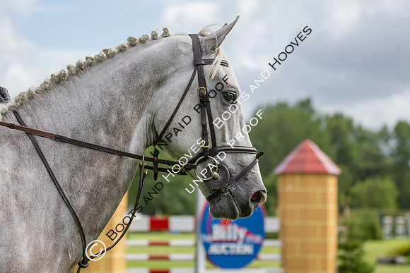 The Al Shira'aa Hickstead Derby Meeting