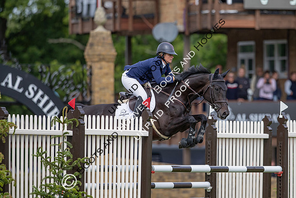 The Al Shira'aa Hickstead Derby Meeting