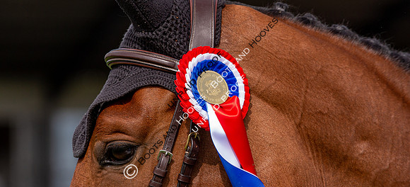 The Al Shira'aa Hickstead Derby Meeting