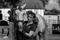 The Al Shira'aa Hickstead Derby Meeting