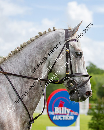 The Al Shira'aa Hickstead Derby Meeting