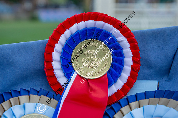 The Al Shira'aa Hickstead Derby Meeting