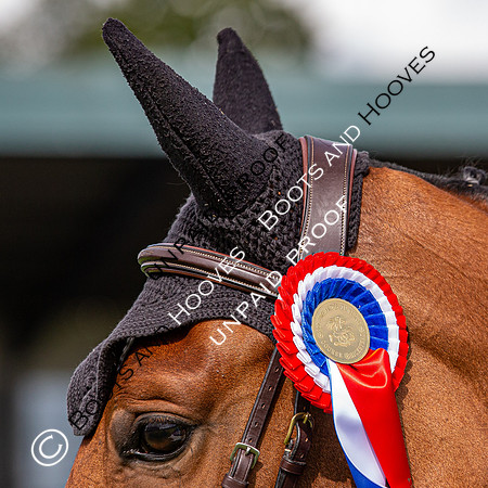 The Al Shira'aa Hickstead Derby Meeting