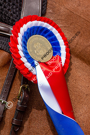 The Al Shira'aa Hickstead Derby Meeting
