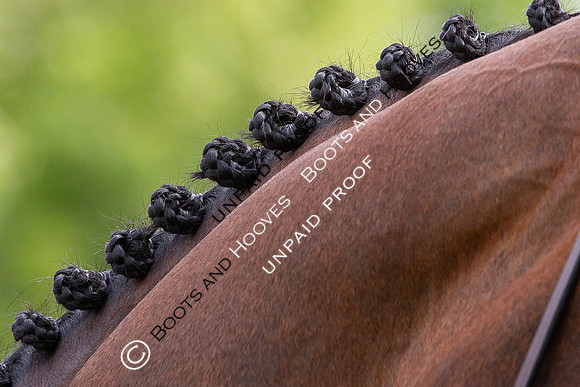 The Al Shira'aa Hickstead Derby Meeting
