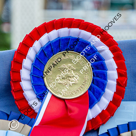 The Al Shira'aa Hickstead Derby Meeting