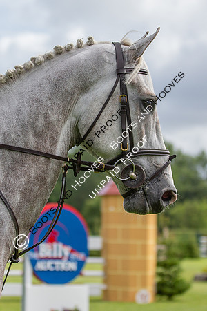 The Al Shira'aa Hickstead Derby Meeting