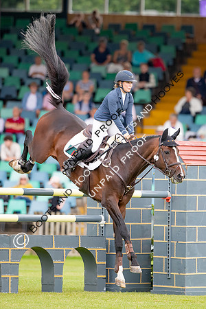 The Al Shira'aa Hickstead Derby Meeting