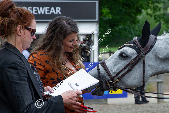 The Al Shira'aa Hickstead Derby Meeting