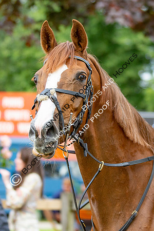 The Al Shira'aa Hickstead Derby Meeting