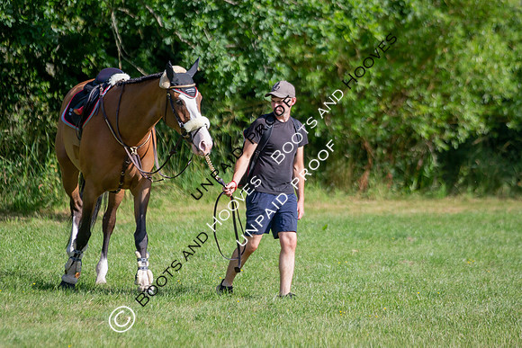 The Al Shira'aa Hickstead Derby Meeting