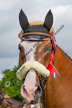 The Al Shira'aa Hickstead Derby Meeting