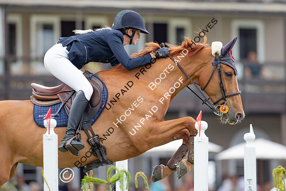 The Al Shira'aa Hickstead Derby Meeting