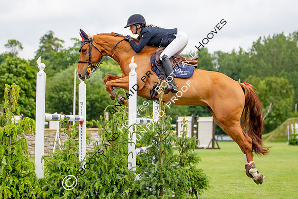 The Al Shira'aa Hickstead Derby Meeting