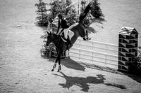 The Al Shira'aa Hickstead Derby Meeting