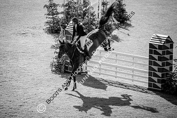 The Al Shira'aa Hickstead Derby Meeting