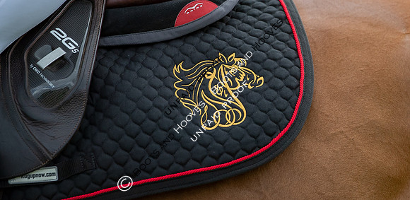 The Al Shira'aa Hickstead Derby Meeting
