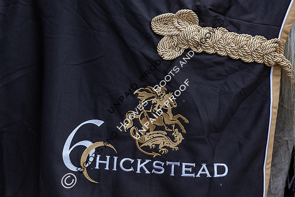 The Al Shira'aa Hickstead Derby Meeting