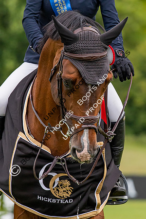 The Al Shira'aa Hickstead Derby Meeting