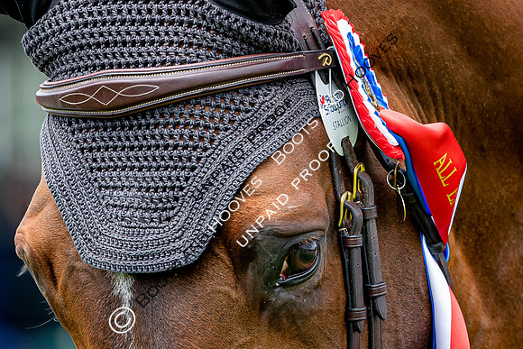 The Al Shira'aa Hickstead Derby Meeting