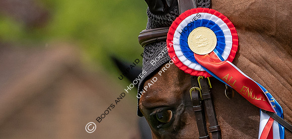 The Al Shira'aa Hickstead Derby Meeting