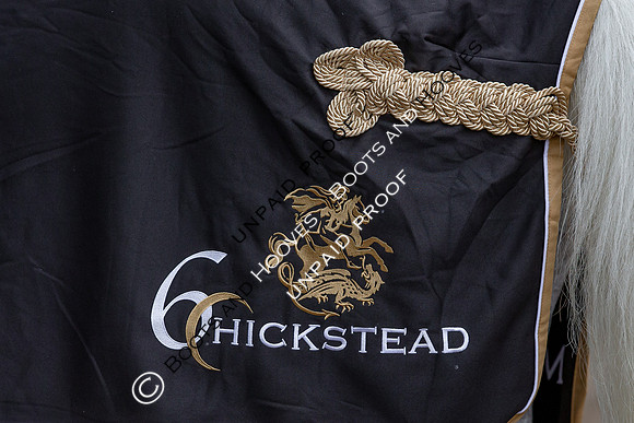 The Al Shira'aa Hickstead Derby Meeting