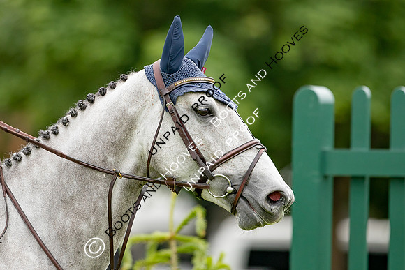 The Al Shira'aa Hickstead Derby Meeting