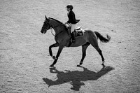 The Al Shira'aa Hickstead Derby Meeting