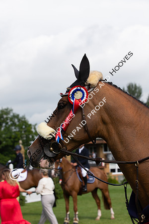 The Al Shira'aa Hickstead Derby Meeting