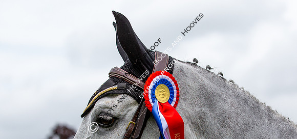 The Al Shira'aa Hickstead Derby Meeting