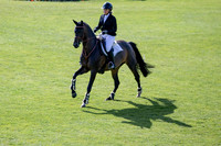 The Al Shira'aa Hickstead Derby Meeting