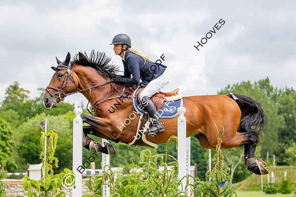 The Al Shira'aa Hickstead Derby Meeting