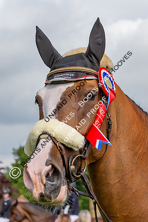The Al Shira'aa Hickstead Derby Meeting