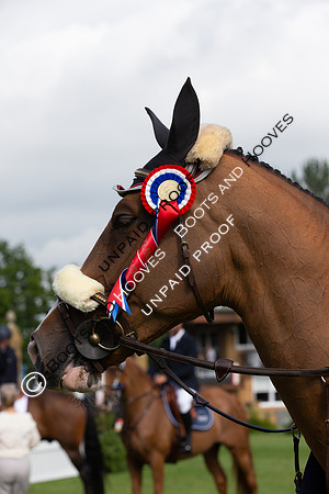 The Al Shira'aa Hickstead Derby Meeting