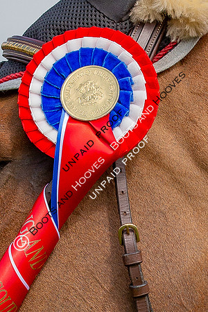 The Al Shira'aa Hickstead Derby Meeting