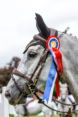 The Al Shira'aa Hickstead Derby Meeting