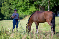 The Al Shira'aa Hickstead Derby Meeting