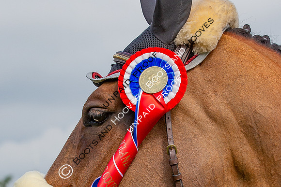 The Al Shira'aa Hickstead Derby Meeting