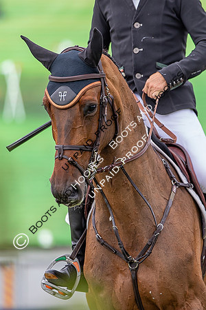 The Al Shira'aa Hickstead Derby Meeting